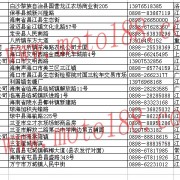 海南經銷商 (2)