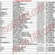 廣東省摩托車整車經(jīng)銷商名錄 (20)