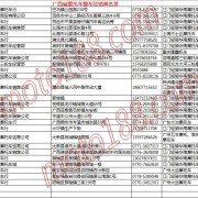 廣西省摩托車整車經(jīng)銷商 (10)