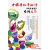 中國(guó)摩托車配件市場(chǎng)指南——華東地區(qū)
