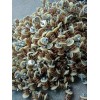 專(zhuān)業(yè)生產(chǎn)摩托車(chē)?yán)€，專(zhuān)業(yè)生產(chǎn)增程發(fā)電機(jī)