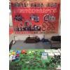 專(zhuān)業(yè)生產(chǎn)圓錐滾子軸承，新能源汽車(chē)輪轂軸承，離合器軸承